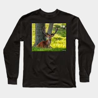 Red Deer Stag Long Sleeve T-Shirt